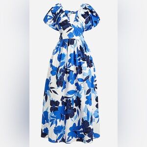 J.Crew Cecily dress in painted floral print sz 16